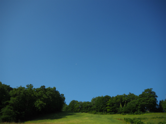 b0195144_21544359.jpg