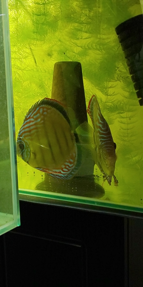 d0177045_13291660.jpg