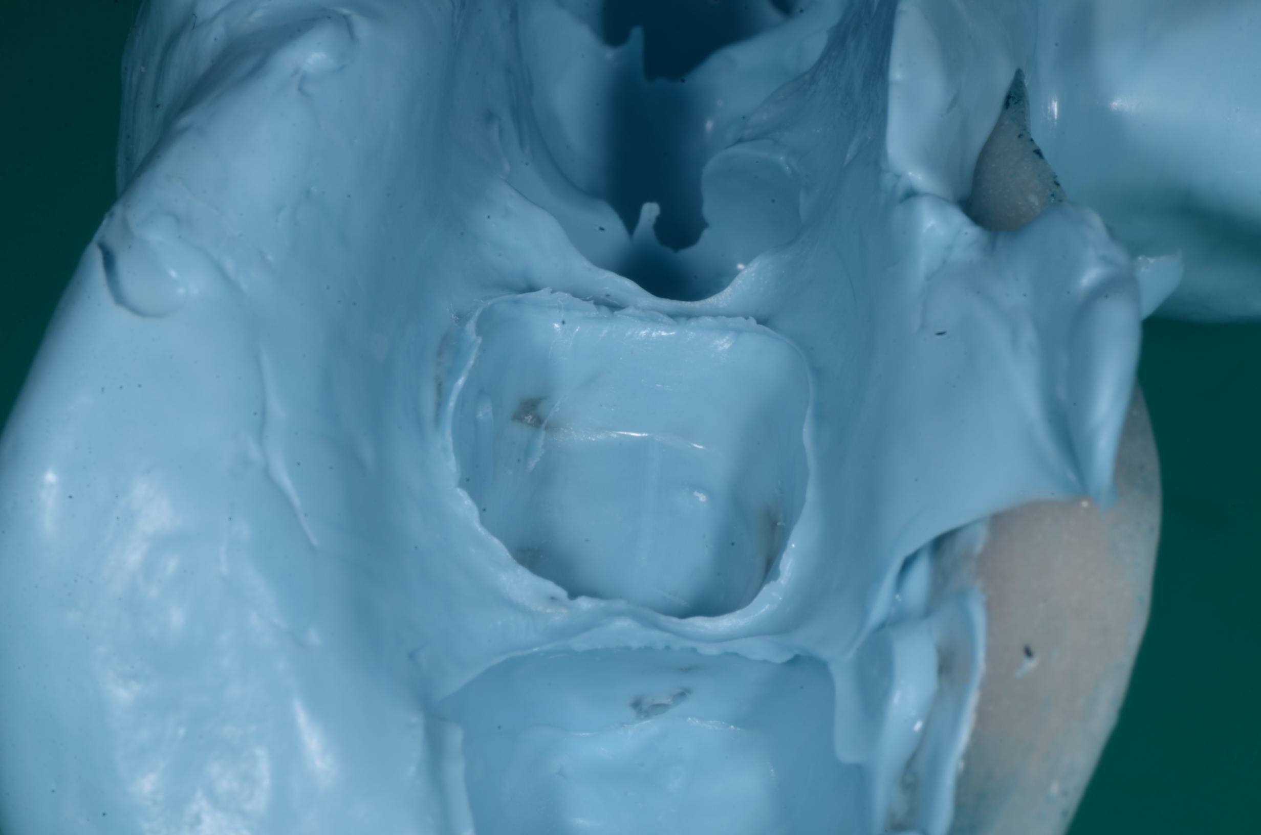 b0112648_19403206.jpg