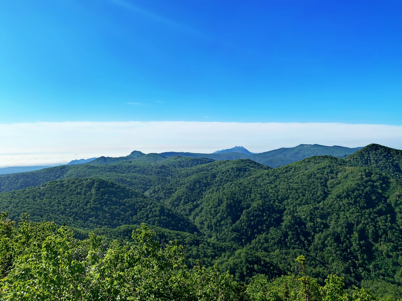 e0105954_13533718.jpg