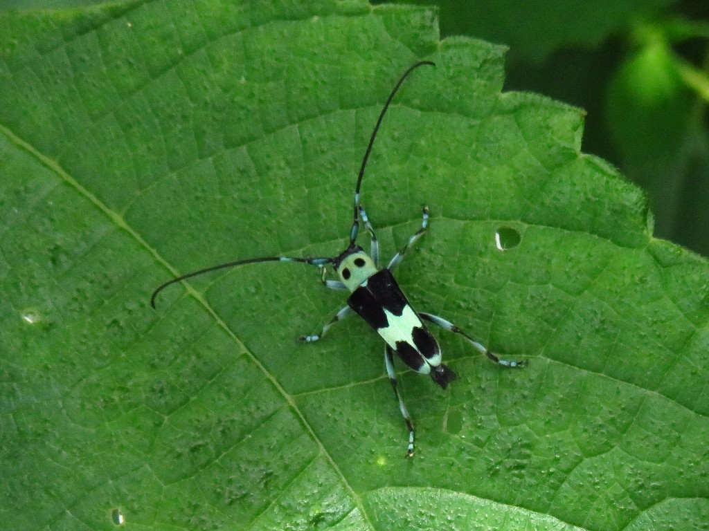 a0018655_09223630.jpg