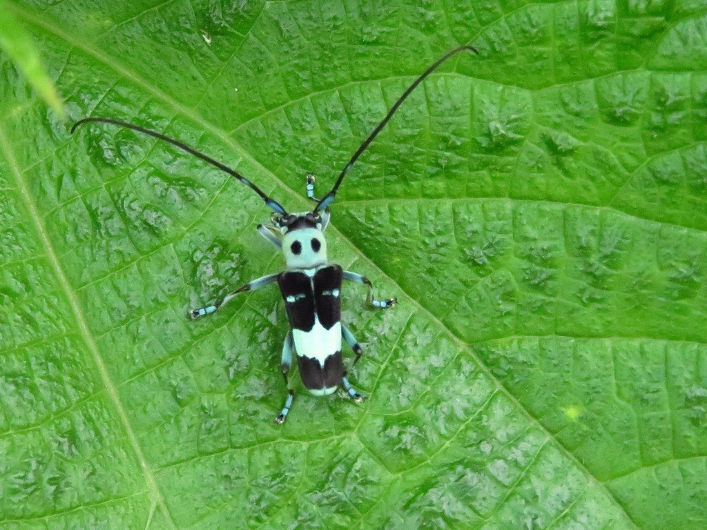 a0018655_09223724.jpg
