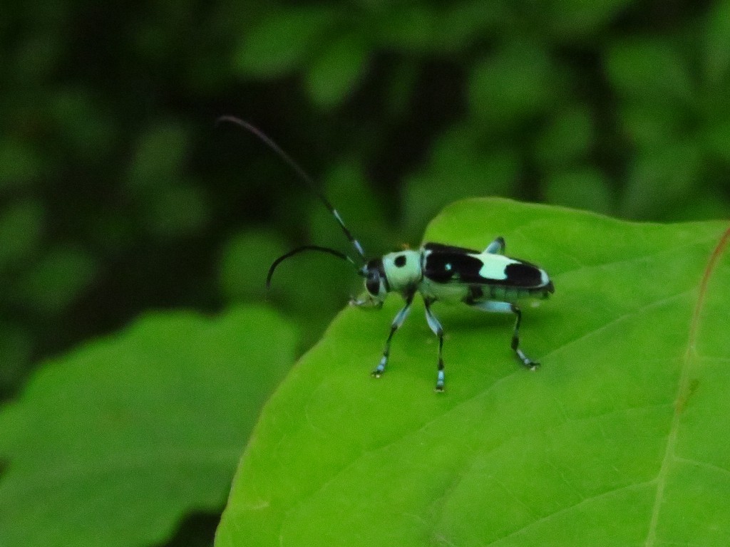 a0018655_09223791.jpg