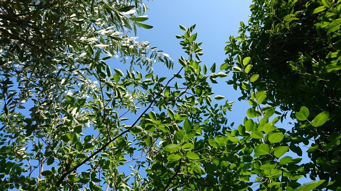 b0346961_16081039.jpg