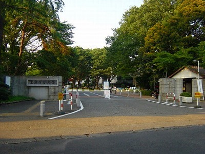 b0171771_05271110.jpg