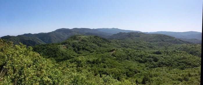 b0185573_10313253.jpg