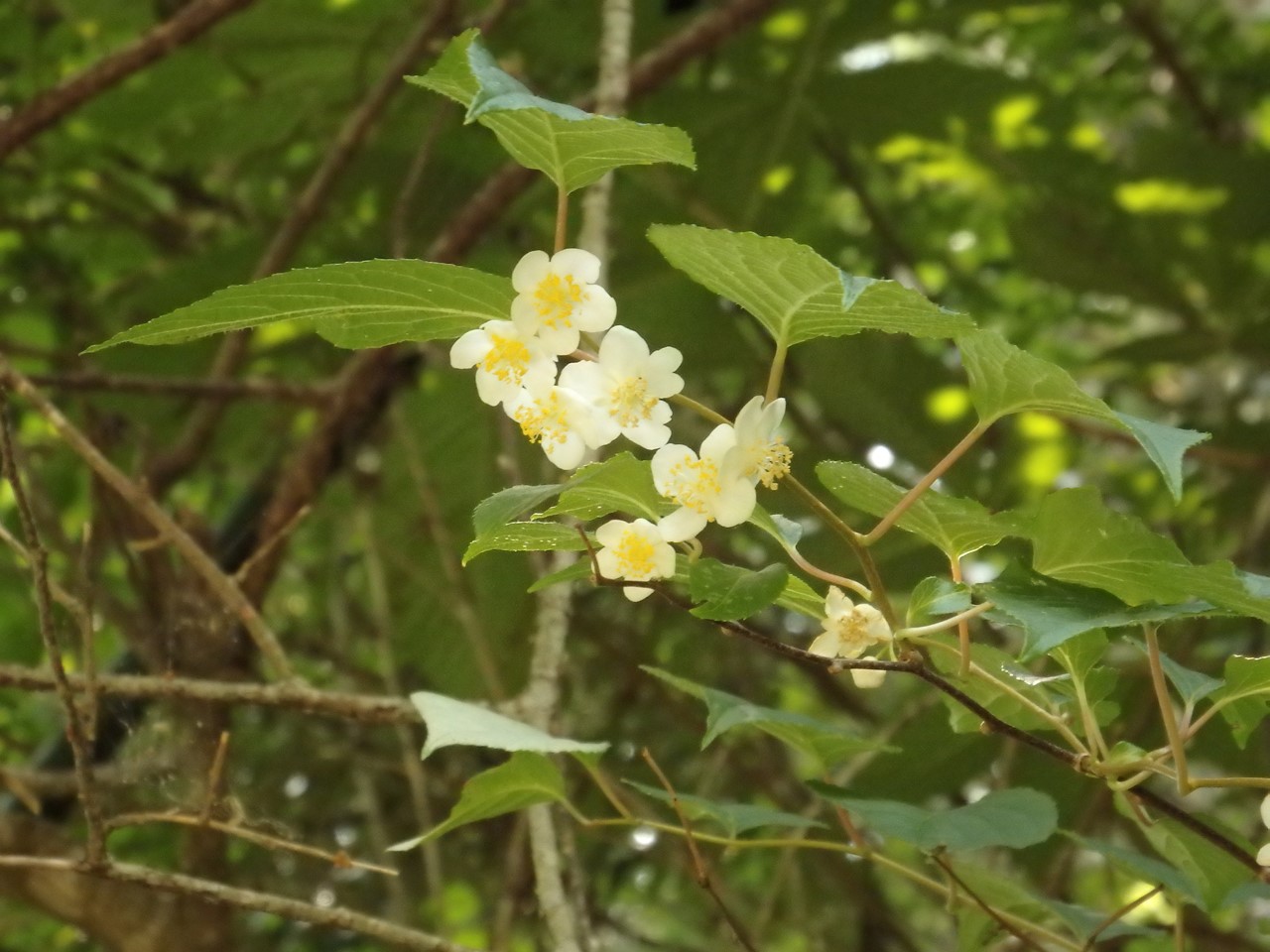 d0054276_20261990.jpg