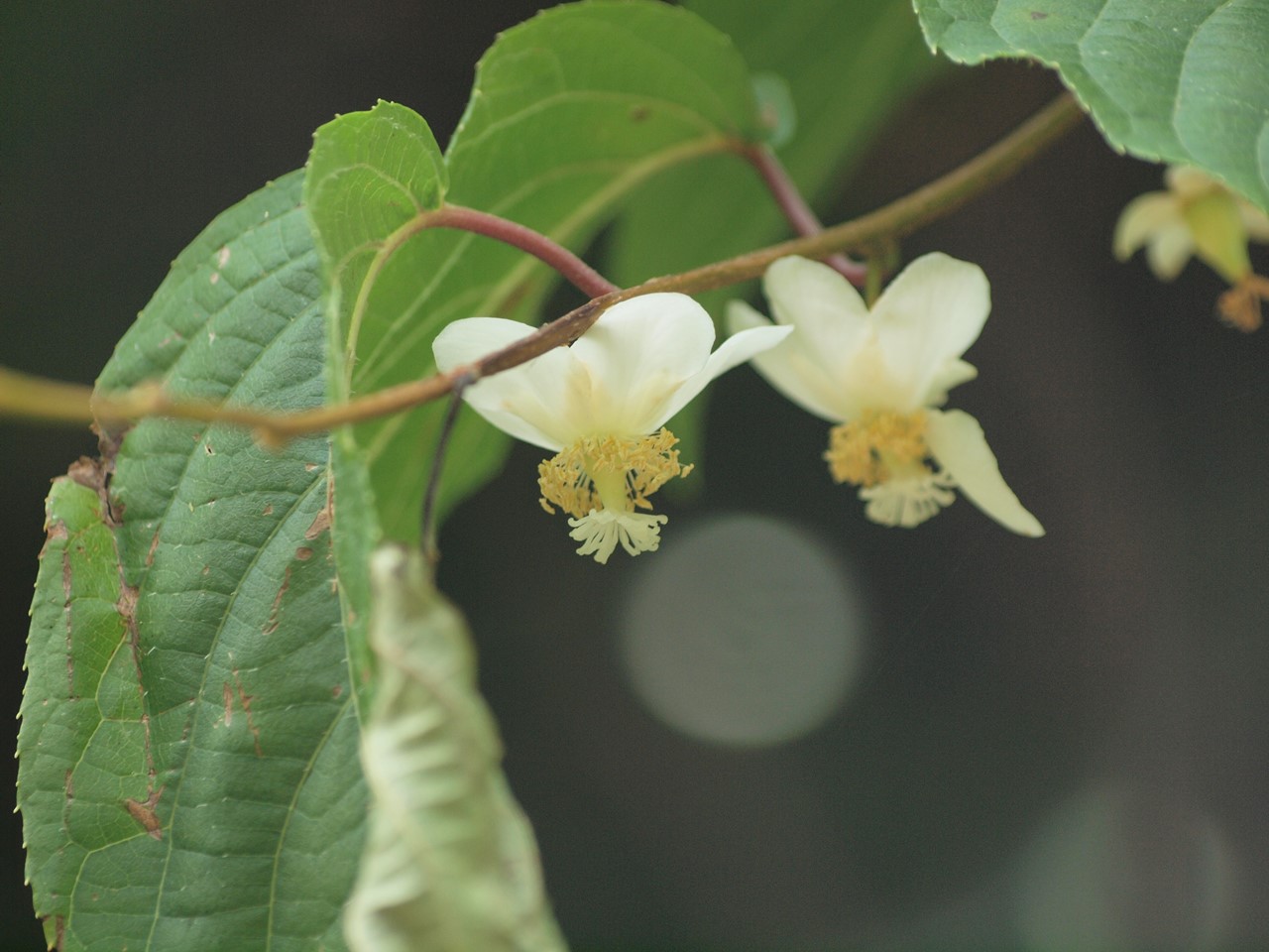 d0054276_20285060.jpg