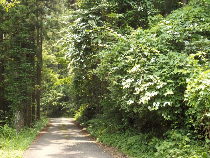 d0054276_20301670.jpg