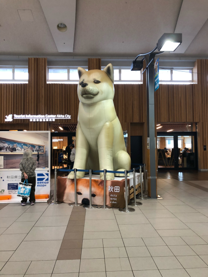 振り返ってみました②_e0355177_20354917.jpg