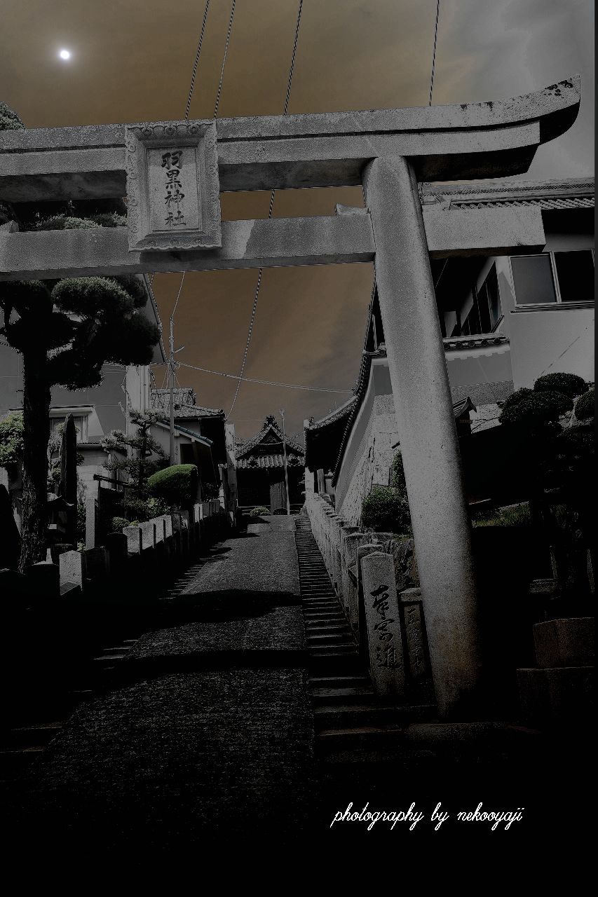 お宮さんへの上り坂_f0295481_11153781.jpg
