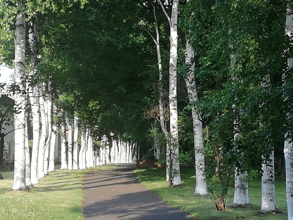 c0212083_15023965.jpg