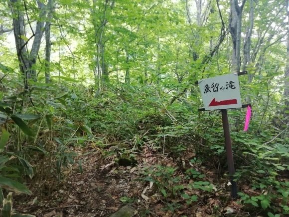 c0212083_15065354.jpg