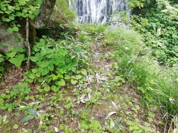 c0212083_15075632.jpg