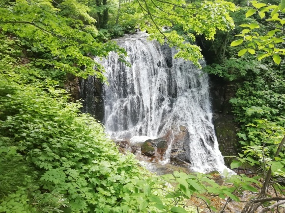 c0212083_15084586.jpg