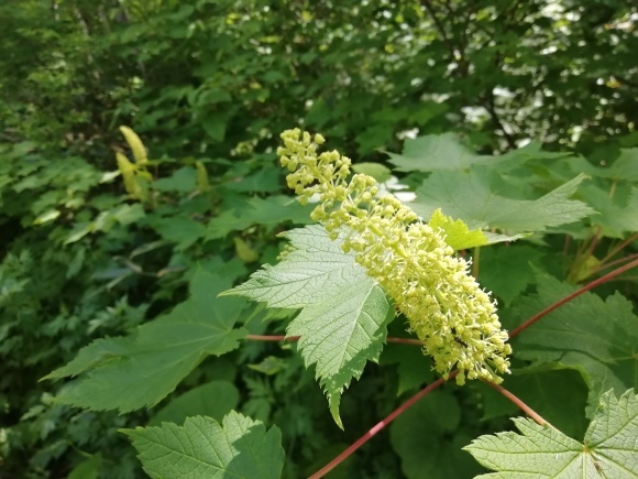 c0212083_15100984.jpg