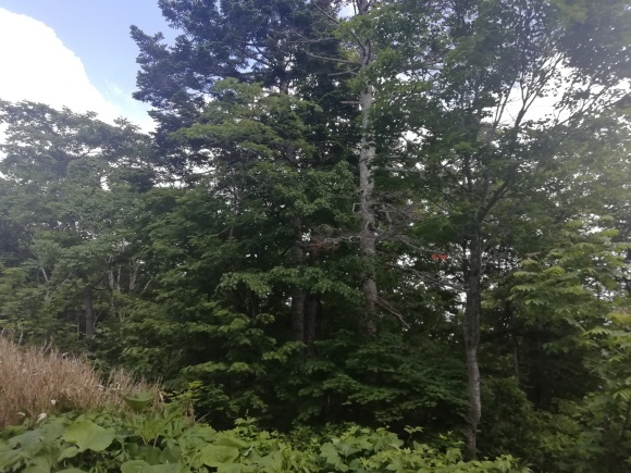 c0212083_15122646.jpg