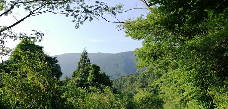 c0229483_0392274.jpg