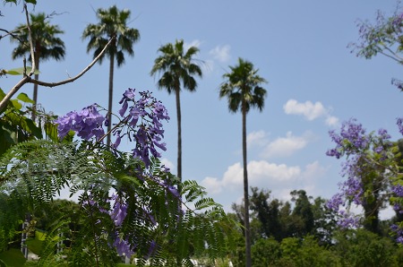 c0229483_10142524.jpg