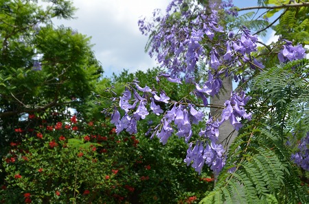 c0229483_10151295.jpg