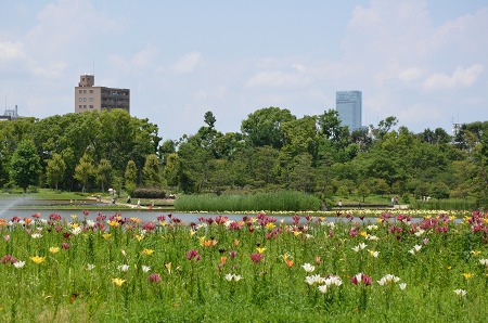 c0229483_12059.jpg
