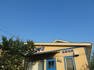 e0130185_9473828.jpg
