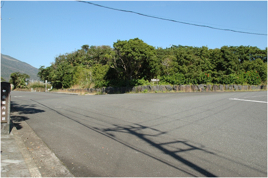 八丈島不動産物件 (土地・建物)_f0095585_01445923.gif