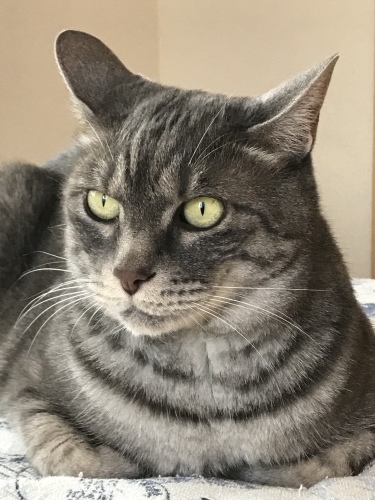 c0340786_20415761.jpeg