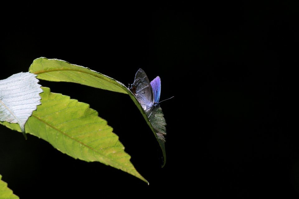 f0373486_19422450.jpg