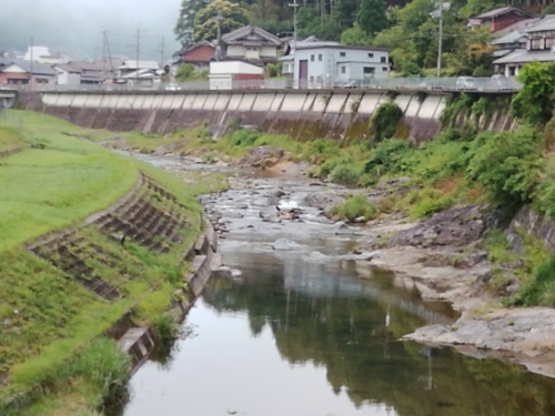 2019/6/25　　水位観測  （槻の木橋より）_b0111189_05503860.jpg