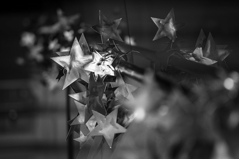 Stars, Cash Cows, Dogs, And Question Marks_b0403692_18431131.jpg