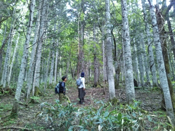 d0198793_12284480.jpg