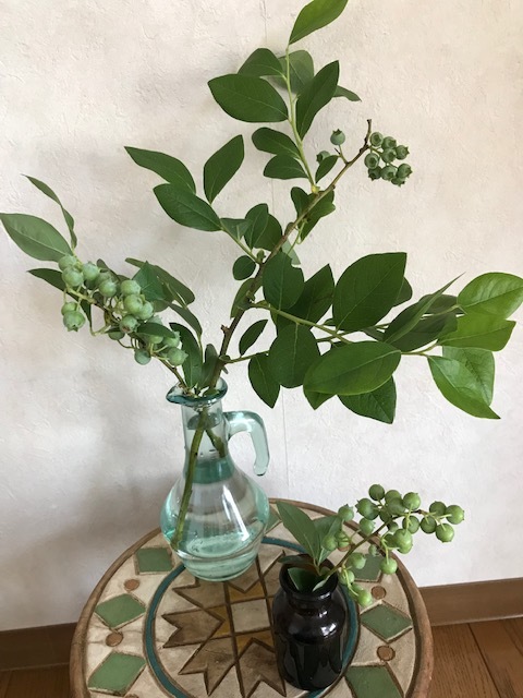 飾るブルーベリー_f0204295_13044783.jpg