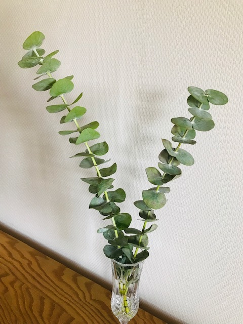 飾るブルーベリー_f0204295_13051371.jpg