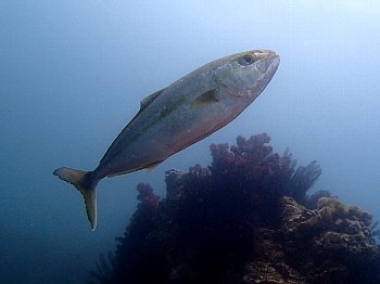 f0079996_16213402.jpg
