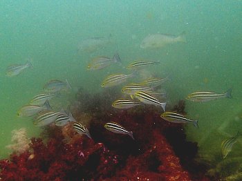 f0079996_16525871.jpg