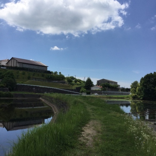 b0195100_08194284.jpeg