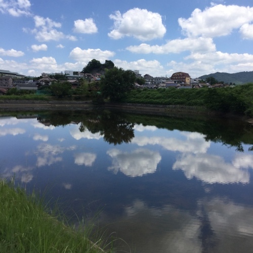 b0195100_08263833.jpeg