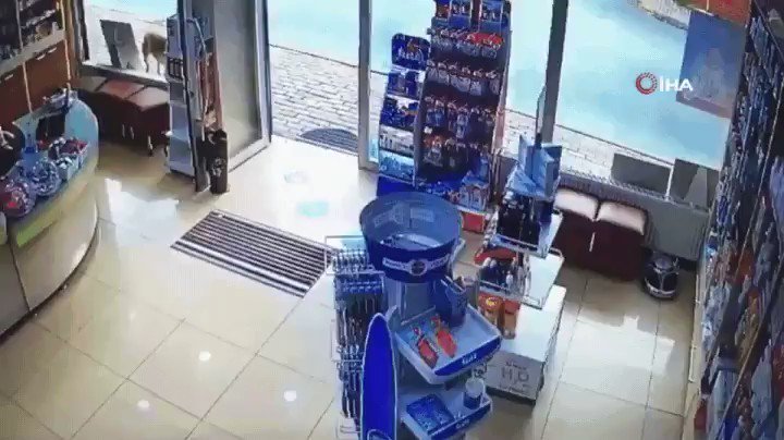c0072801_09505690.jpeg