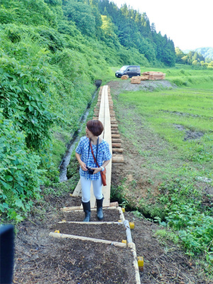 フットパスコースの木道工事が進んでいます_c0336902_21162877.jpg