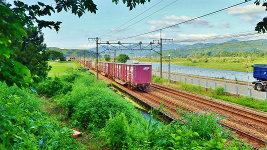 フットパスコースの木道工事が進んでいます_c0336902_21170188.jpg