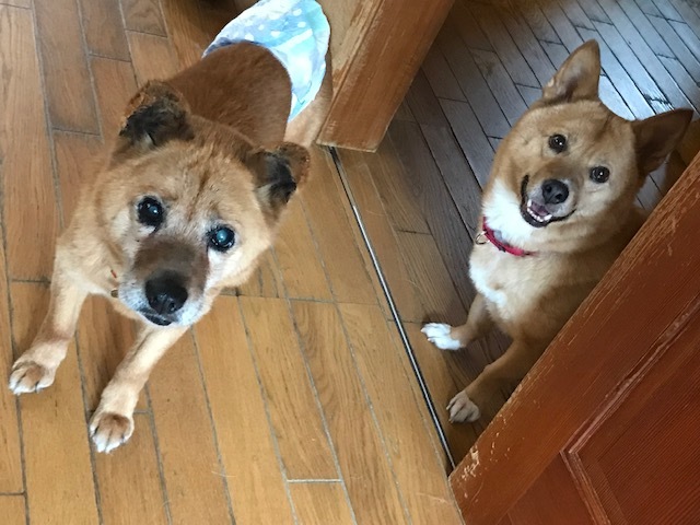 2つの嬉しいご報告と、いくつものありがとうと_f0242002_09562279.jpg