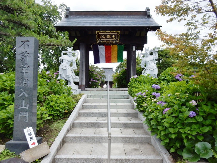 松源寺のあじさい祭り　群馬県みどり市　　2回目の参拝_e0342205_1315057.jpg