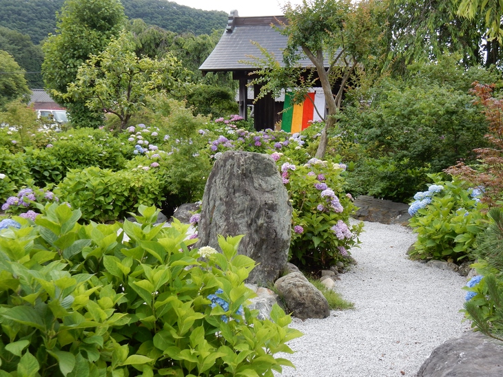 松源寺のあじさい祭り　群馬県みどり市　　2回目の参拝_e0342205_1352059.jpg