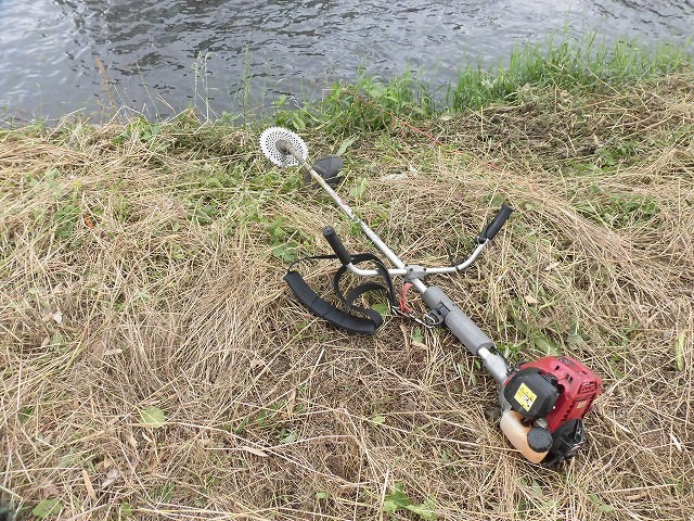 f0141310_07165829.jpg