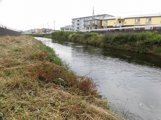 f0141310_07175072.jpg