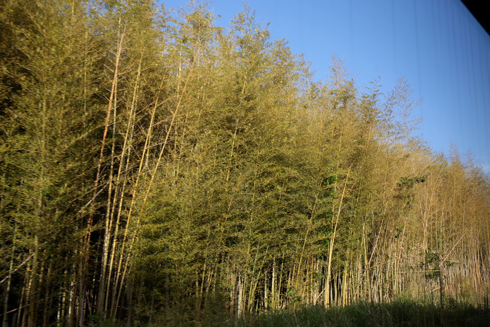 d0011713_08503351.jpg