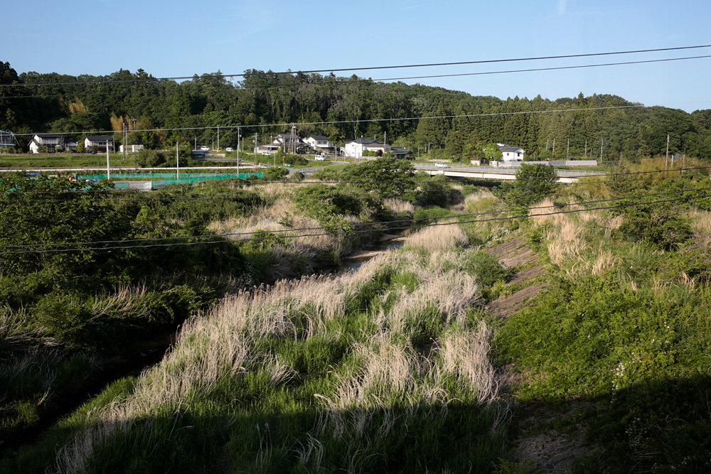 d0011713_08510019.jpg