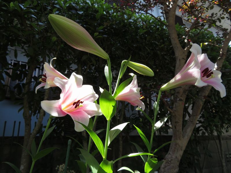 d0065113_20471659.jpg
