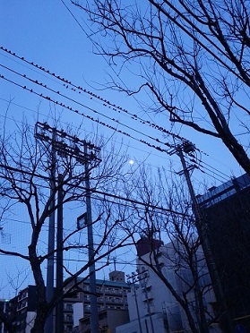 f0371014_00341866.jpg